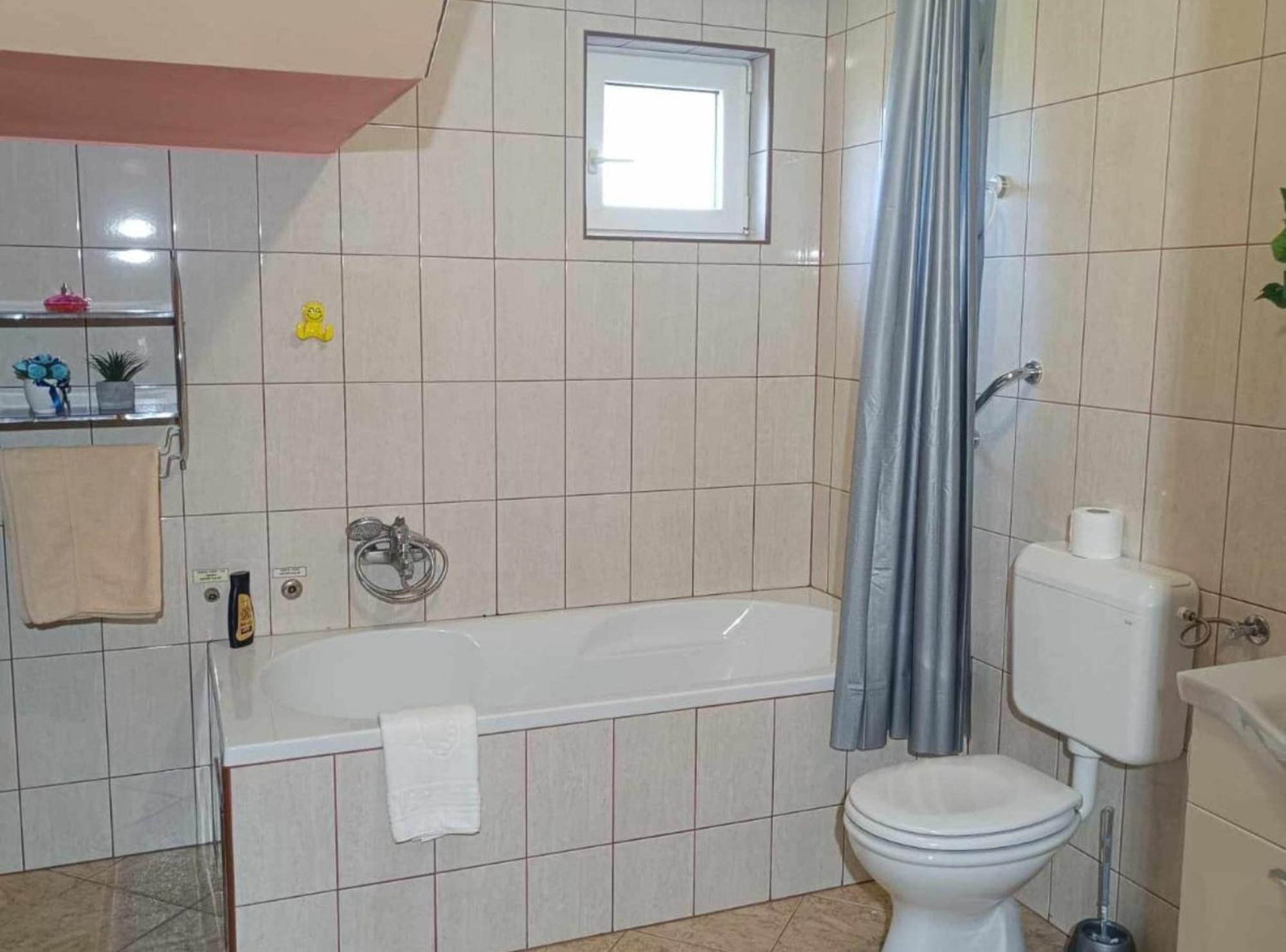 Apartmani Tea I Toni Gradiste Extérieur photo
